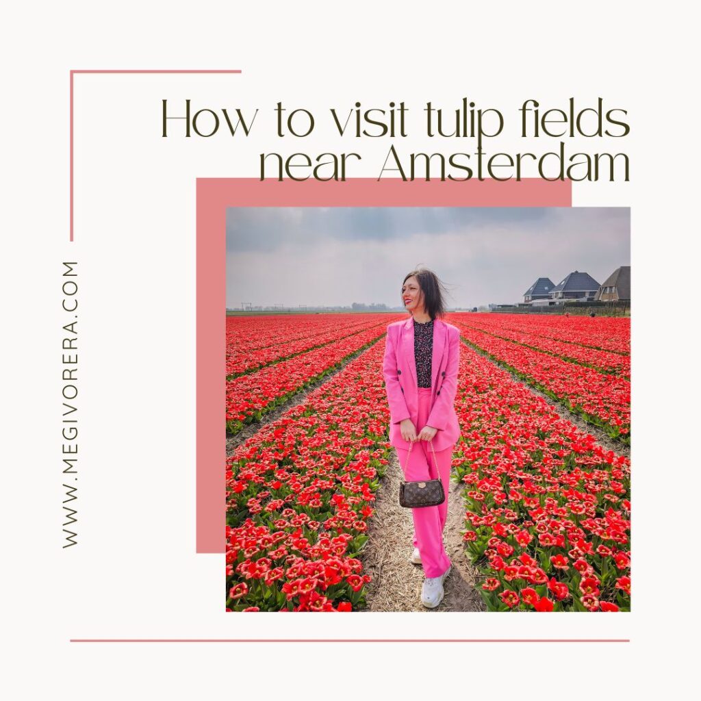 How to visit tulip fields near Amsterdam