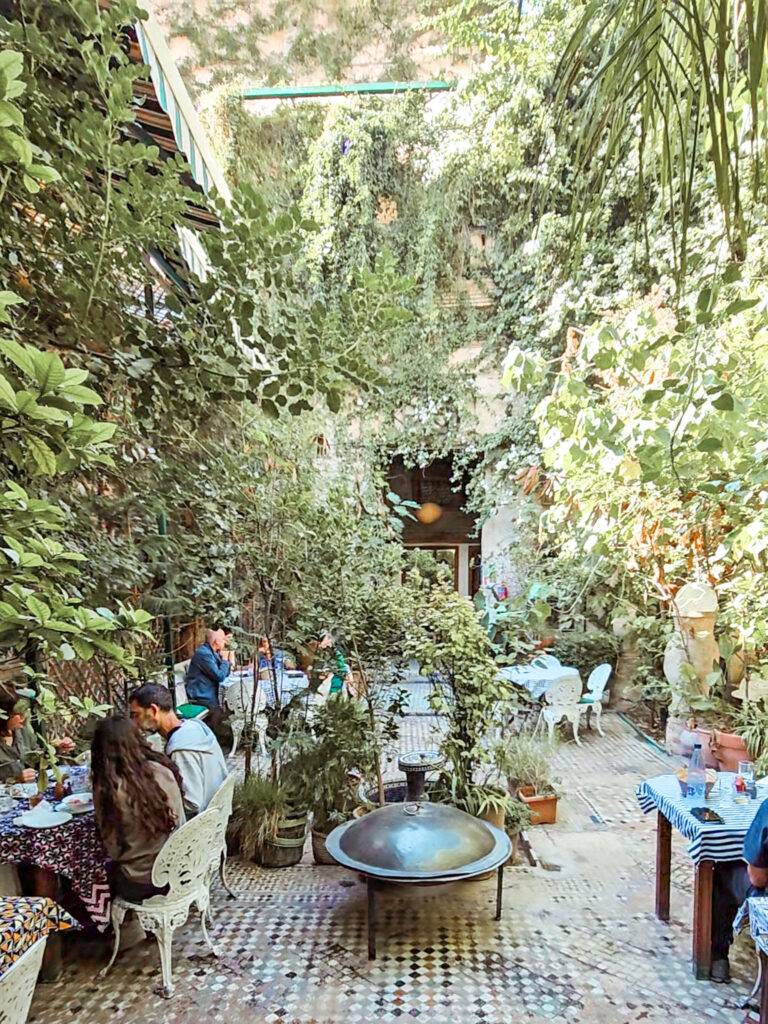Ruined Garden in Fes