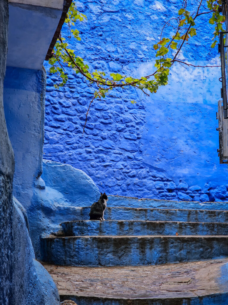 Most instagrammable places in Chefchaouen