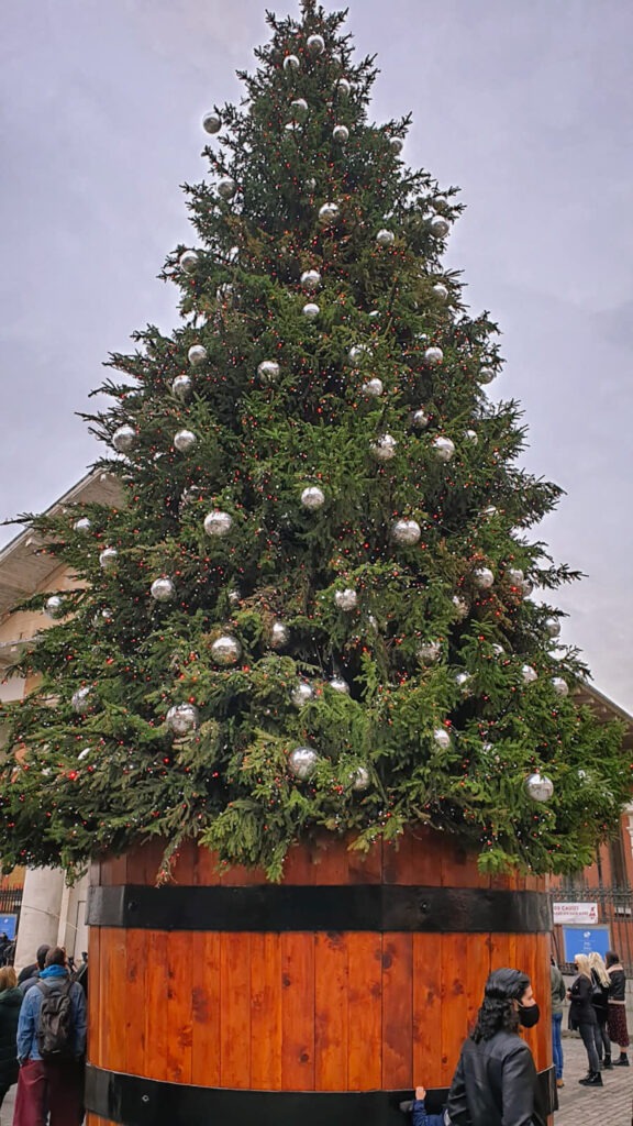 Covent Garden tree