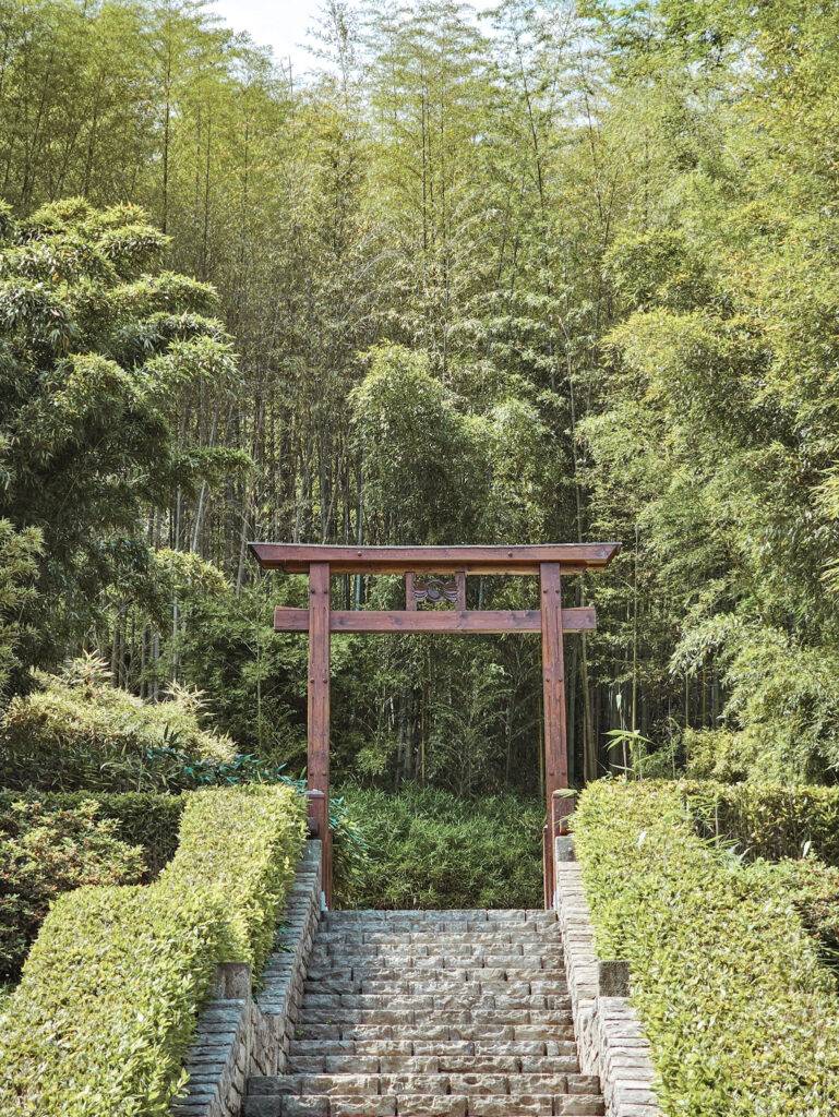 Bamboo Trees at Villa Carlotta
