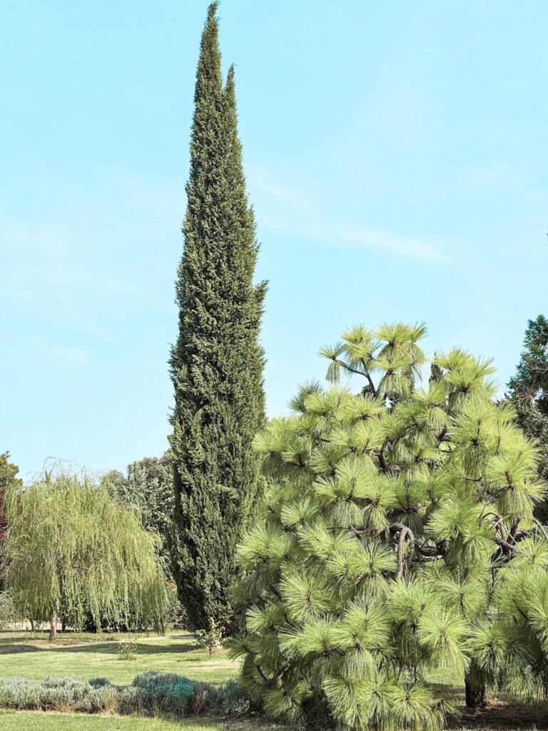 Brijuni Mediterranean Garden