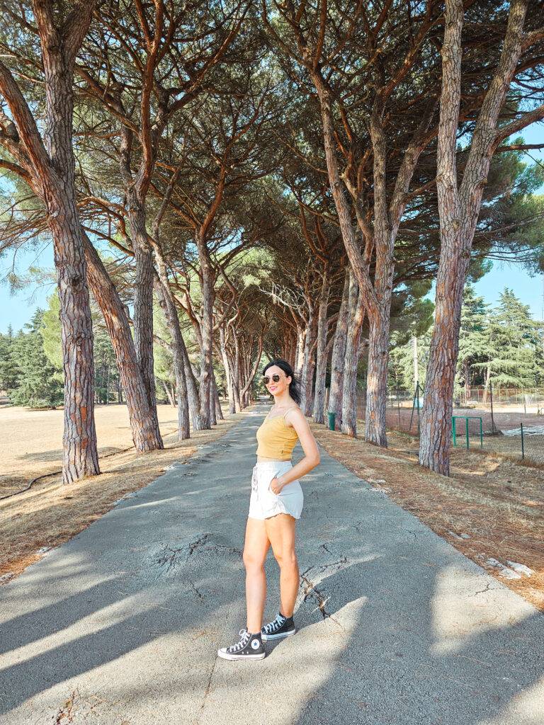 Brijuni Pine Alley
