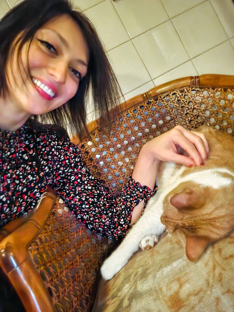 Cats in Amsterdam