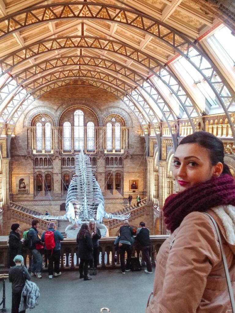 Natural History Museum whale skeleton