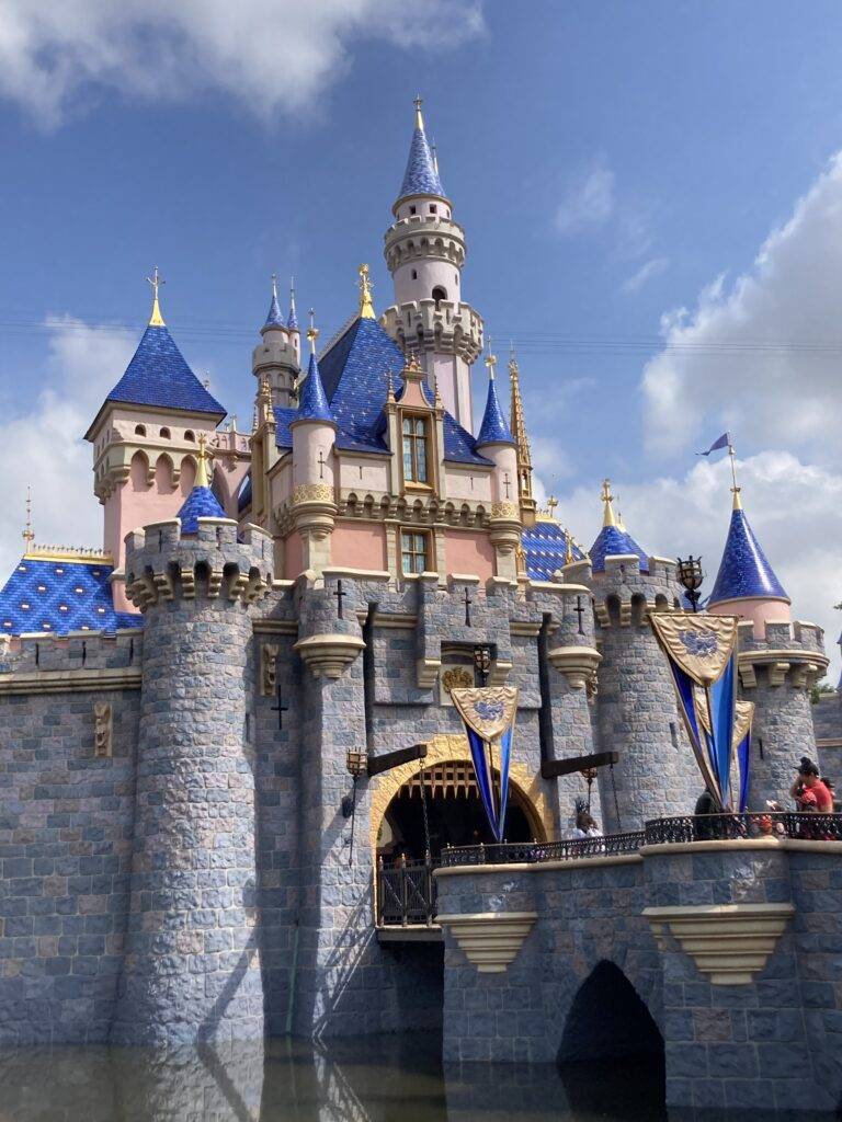 Disneyland Castle