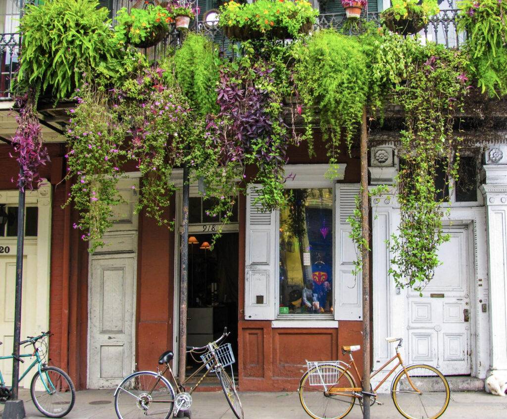 New Orleans