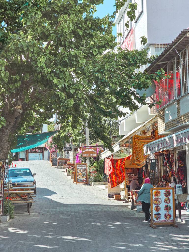 Selcuk Turkey
