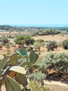 Rural Sicily