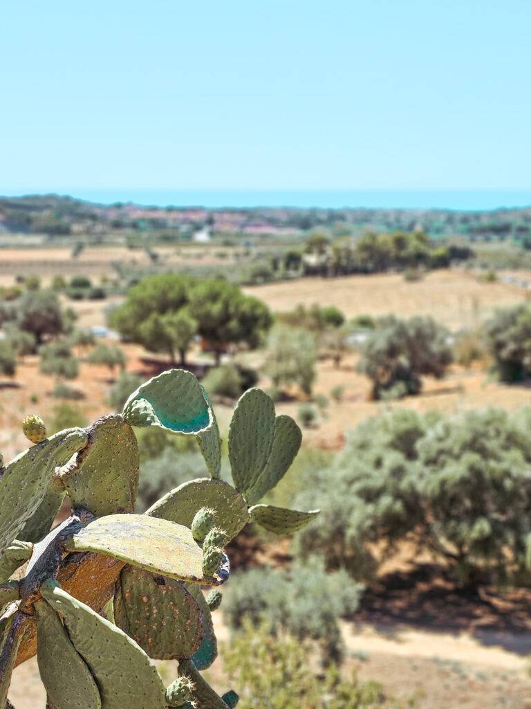 Rural Sicily